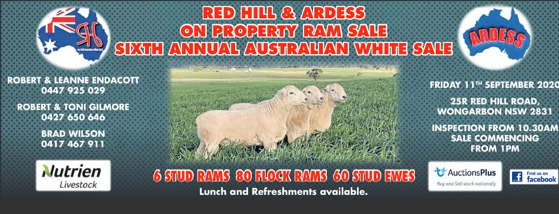 2020 Red Hill & Ardess Sale